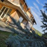 20250731_191042 (Small)