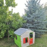 7. Activități creative (desen, pictură) (Small)