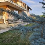 8. Cadru didactic cu copii (Small)