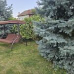 9. Copii în curte imagine fericită finală (Small)